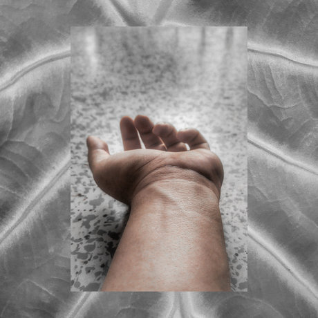 Eduardo Burbano nudes pornstar archive