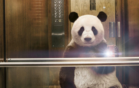 Pandaa Hendrixx star sex pic