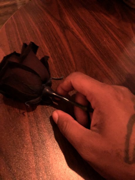 Nicknows pornstar hot pictures