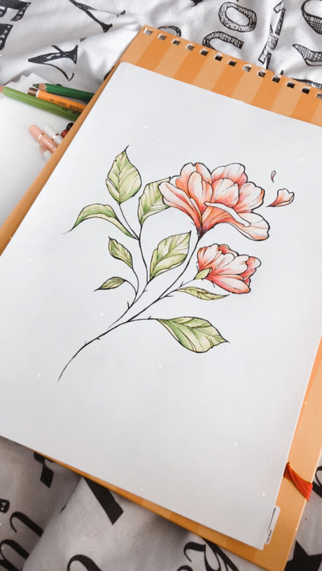 Naomi Freek art star photos