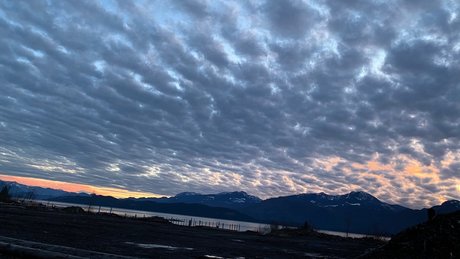 famous ladyboy onlyfans art xxx galleries