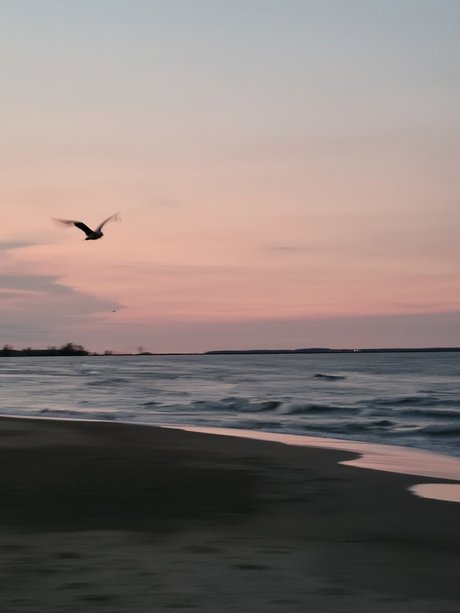 Nicole Phillips perfect star image