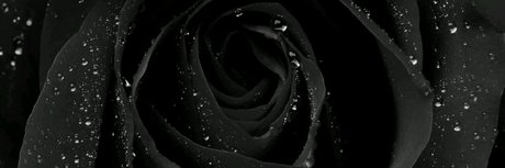 Ni as in Paris sex star gallery