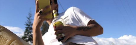 Nicoll Avellaneda model perfect galleries