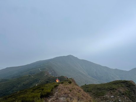 Aninsey exclusive actress gallery