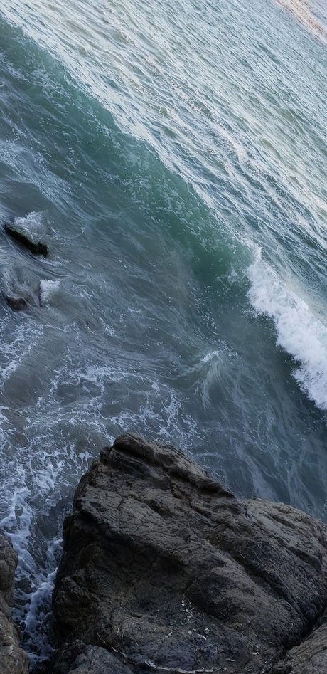 dadddy free model images