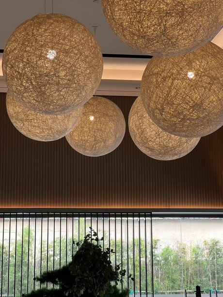 alexu224480919 star gallery