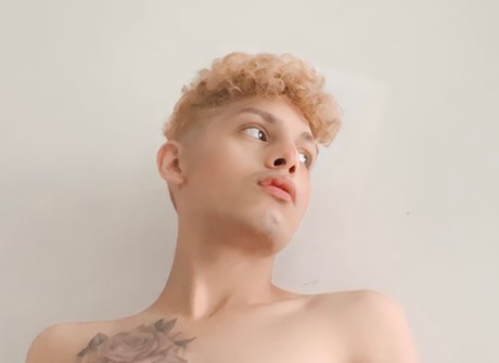 aimer l apollo pornstar art archive