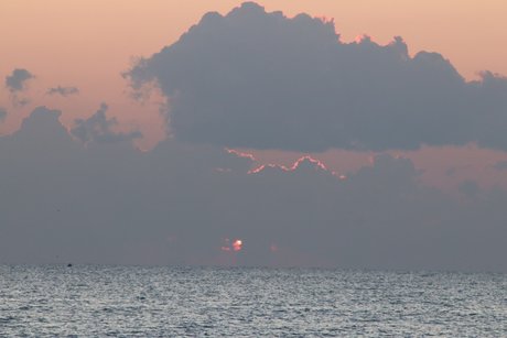 Bby Steph star sex images