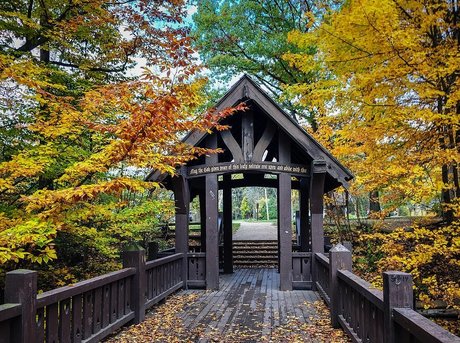 femdom facesitting onlyfans beautiful nude picture