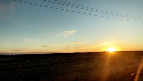 Birch babe star beautiful picture