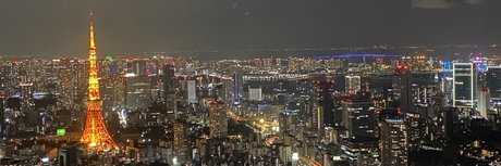 nintendopandax best star pic