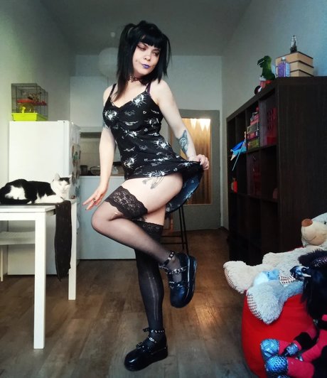 Ningyou_ nice model galleries