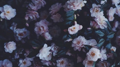 NinaLifeOf exclusive actress pictures