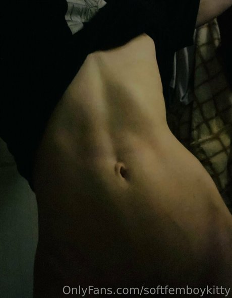 softfemboykitty naked pornstar archive