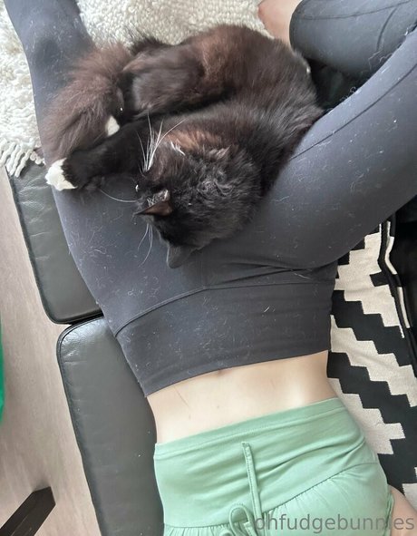 gay videos onlyfans free photo