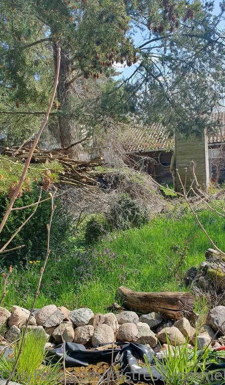 mistress remmel pornstar sexy picture