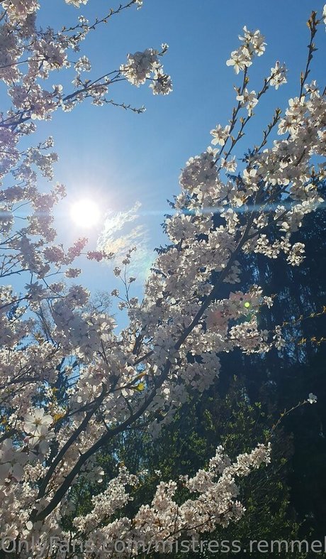 bbw lesbian onlyfans xxx images