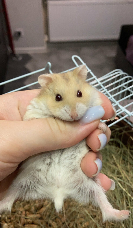 moon less xxx actress image