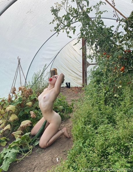 Hoopsydaisy star perfect pics