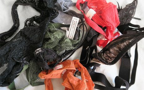 charliejoyjoe porn star photo