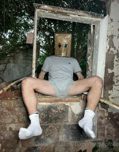 paperbagfree pornstar art galleries