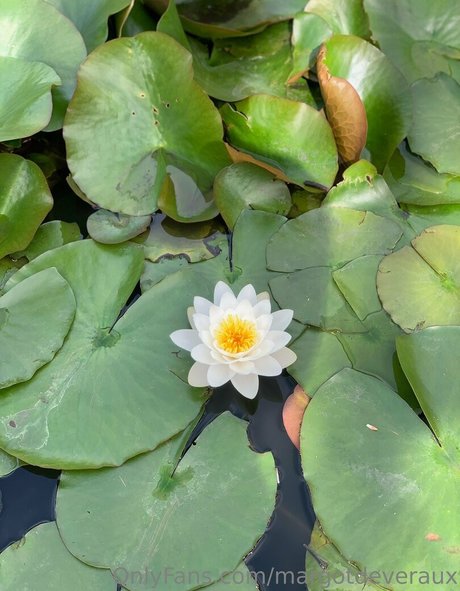 margotdeveraux model free pictures