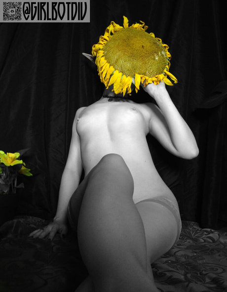 Girlbotdiv art pornstar pics