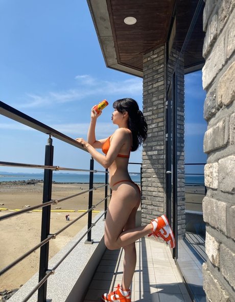 auddk star nice galleries