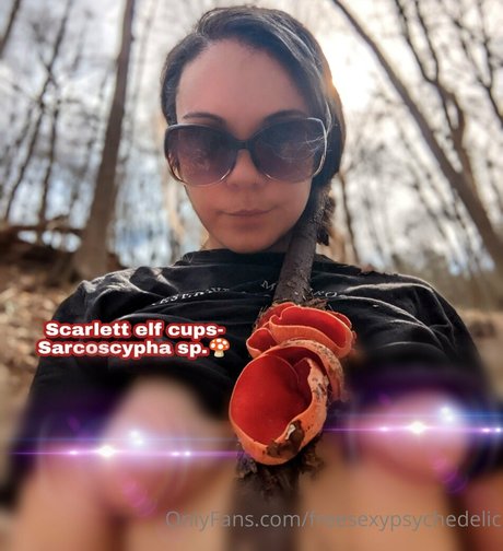 freesexypsychedelic art star archive