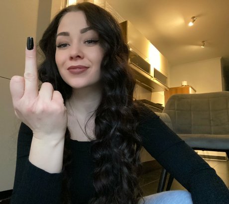 moneydomk star best galleries