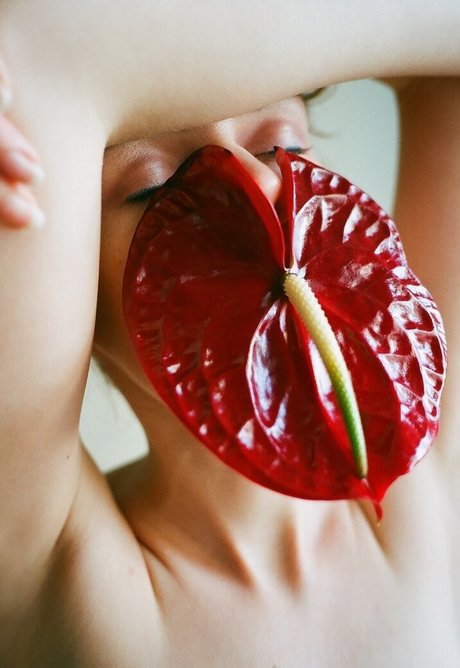 Kate Ri pornstar galleries