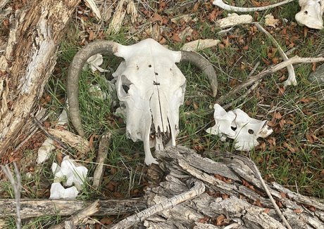 redhead xxx onlyfans sex photo