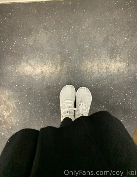 coy koi star perfect pictures