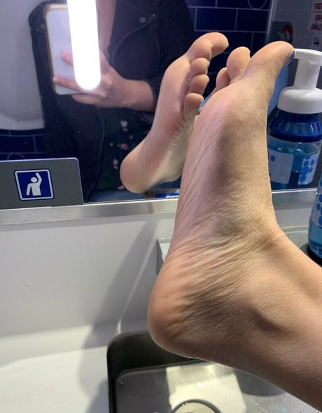 coy koi model free image