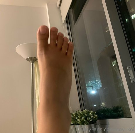 coy koi star beautiful archive