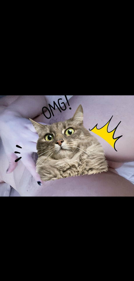 Maxalah high quality star archive