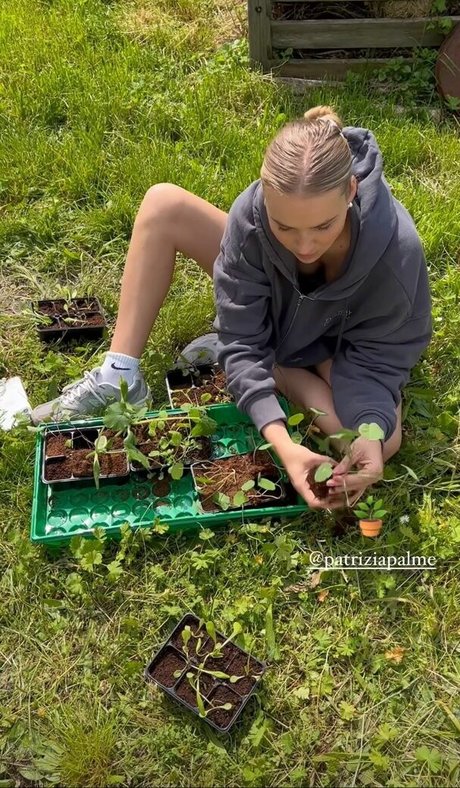 2024 top onlyfans beautiful img