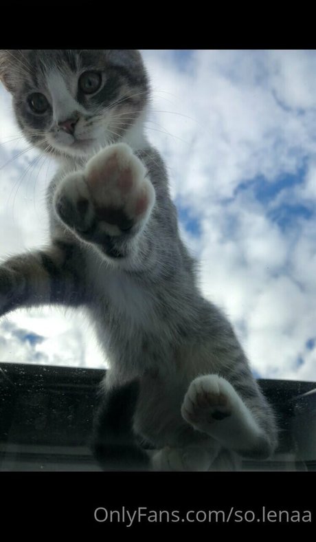 so lenaa exclusive star pictures