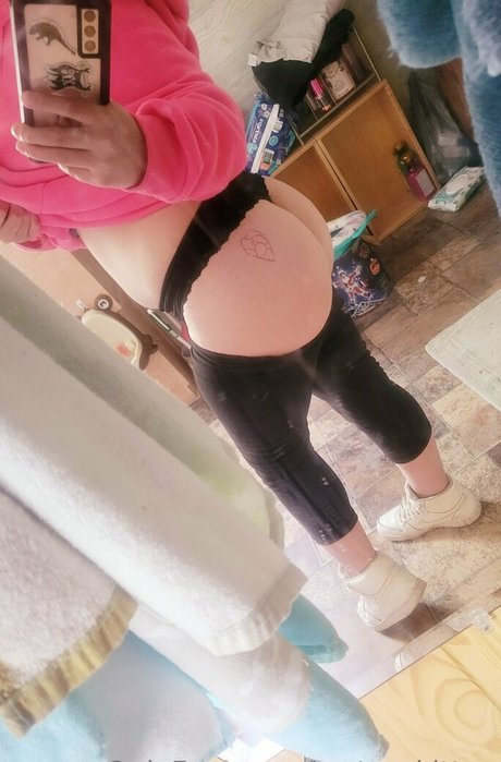 wetasskitten star beautiful photo