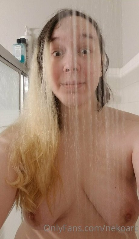 nekoarc art star pictures