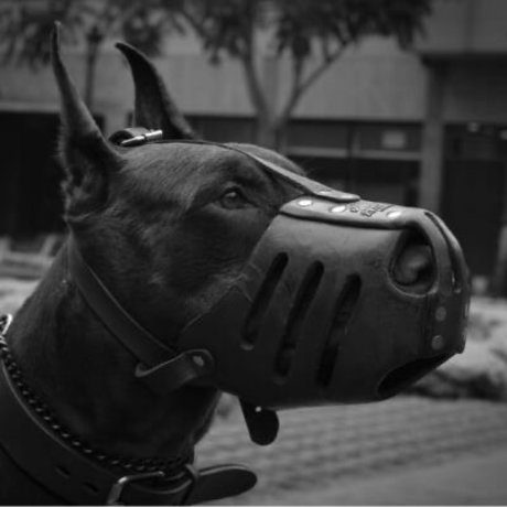 Rari_ pornographic model photos