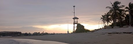 MoChubby top star archive