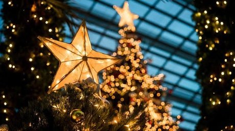 TupincheDiosa erotic star archive