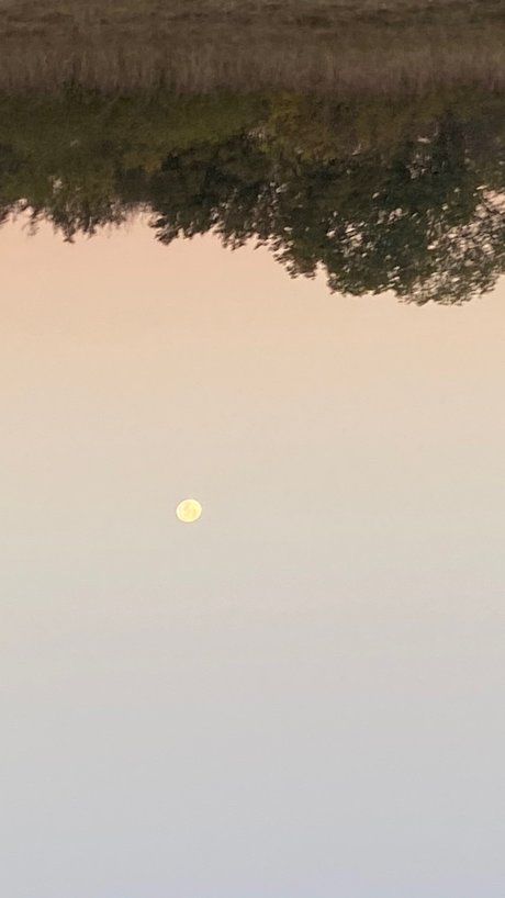 Giani star sexy gallery