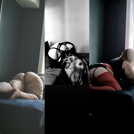 Norse BBW star best picture