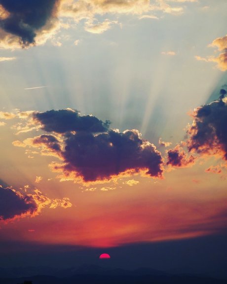 NO FACE NO TRACE hot actress pictures