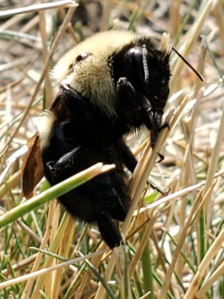 redhead creampie onlyfans free naked gallery