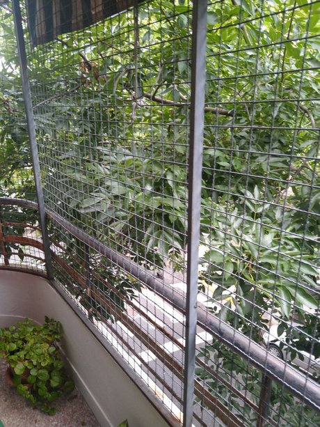 alejandro b jar free star photo