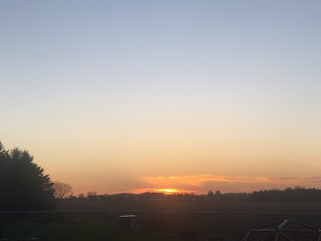 Nyssa Bell star top galleries